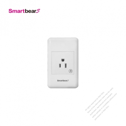 Wireless Control Wall Socket