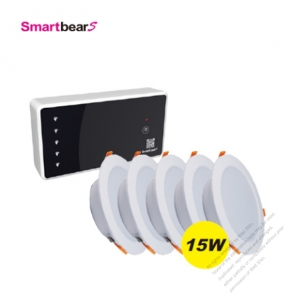 Wireless Control Switch Set-W/5pcs of LED Downlight