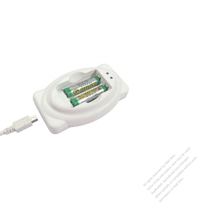 DC/DC DC Mini USB to AA/ AAA (2) Battery Charger Adapter