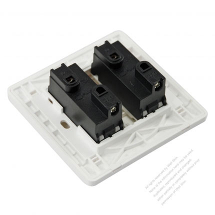 China Wall Plate Switch x 2