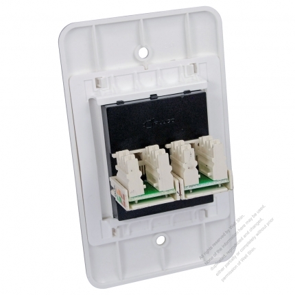 Taiwan/USA Wall Plate Receptacle RJ45 X 2