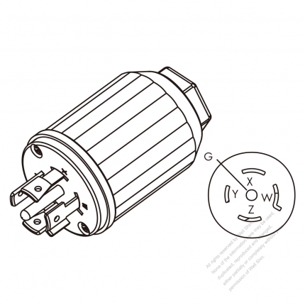 USA/Canada Twist-Lock 	(NEMA L21-20P)  5-Pin Straight plug, 4 P, 5 Wire Grounding 20A, 3 Phase Y 120/208V