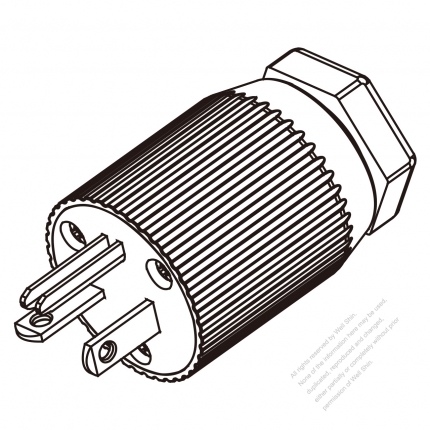 USA/Canada 	(NEMA 5-20P) 3-Pin Straight Blade Plug, 2 P, 3 Wire Grounding, 20A 125V