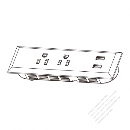 USA/Canada NEMA 5-15R Outlet x 2, output 5V 1A USB X 2