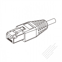 Category 5 LAN Plug
