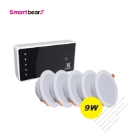 Wireless Control Switch Set-W/5pcs of LED Downlight