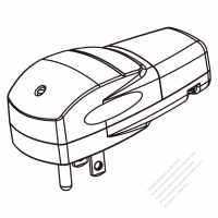 USA/Canada Smart Control 	(NEMA 5-15P) 3-Pin Straight Blade Plug, 2 P, 3 Wire Grounding, Dawn to Dusk photosensor