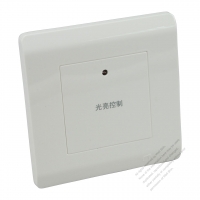 China Wall Plate Switch Light Control Delay