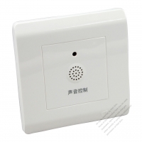 China Wall Plate Switch Sound Control Delay