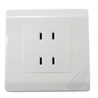 China Wall Plate Receptacle for 2-Pin x 2, 10A