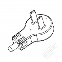 China 2-Pin AC Plug, 6A,10A 250V