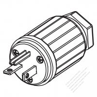 USA/Canada 	(NEMA 5-20P) 3-Pin Straight Blade Plug, 2 P, 3 Wire Grounding, 20A 125V