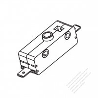 SPST Switch. ( Single-pole single-throw).