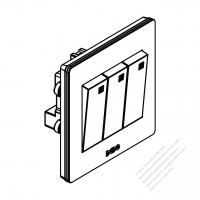 China Wall Plate Switch x 3