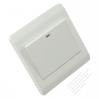 China Wall Plate Switch x 1