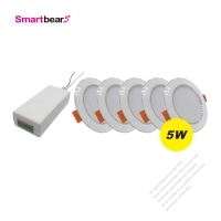 Wireless Control Switch Set-W/5pcs of LED Downlight
