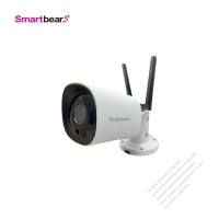 Cloud Smart IP Camera and Hub-Outdoor Style