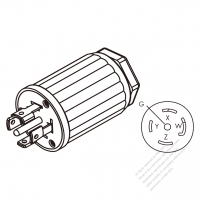 USA/Canada Twist-Lock 	(NEMA L21-30P)  5-Pin Straight plug, 4 P, 5 Wire Grounding 30A, 3 Phase Y 120/208V