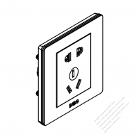 China Wall Plate Receptacle 2+3-Pin each