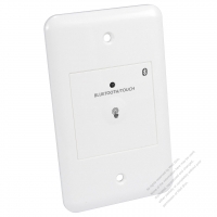 Taiwan/USA Wall Plate Switch Bluetooth + Touch Control Delay