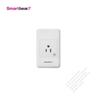 Wireless Control Wall Socket