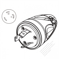 USA/Canada Marine Shore (NEMA L5-30P) 3-Pin Straight blade plug. 2 P, 3 Wire Grounding, 30A 125V