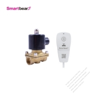 Wireless Control Water Valve