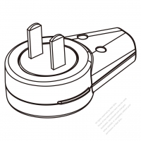 China (Rotatable) Plug 2-Pin 10A 250V