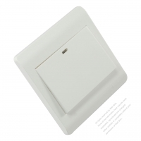 China Wall Plate Switch x 1