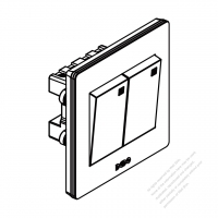 China Wall Plate Switch x 2