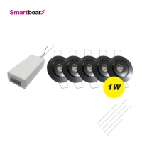 Wireless Control Switch Set-W/5pcs of LED Downlight