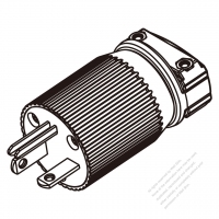 美規工業插頭	(NEMA 6-20P)3芯直式 , 2 P, 3芯接地, 20A 250V