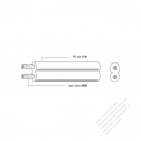 美國 SPT型式 PVC絕緣多芯電子線 UL20288